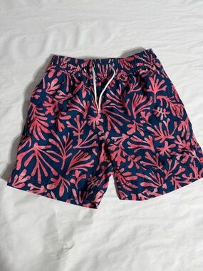 Boys Crewcuts swim trunks